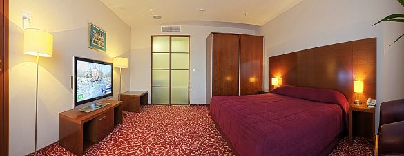 LUX ROOM WITH ONE KING SIZE DOUBLE BED